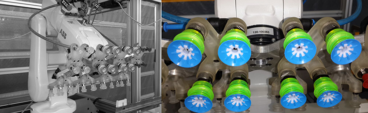 Case Packer Machine